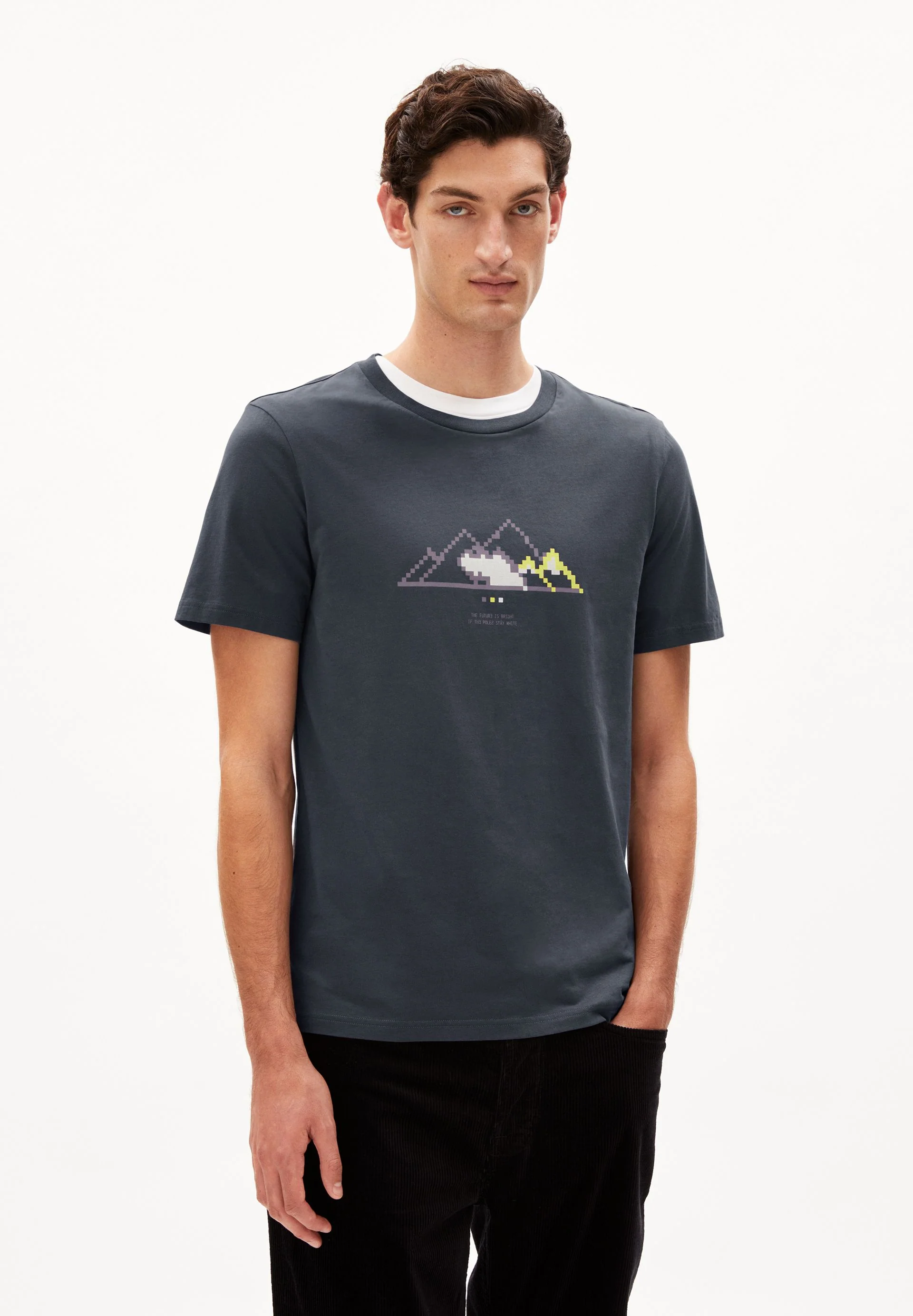 JAAMES PIXXEL MOUNTAIN